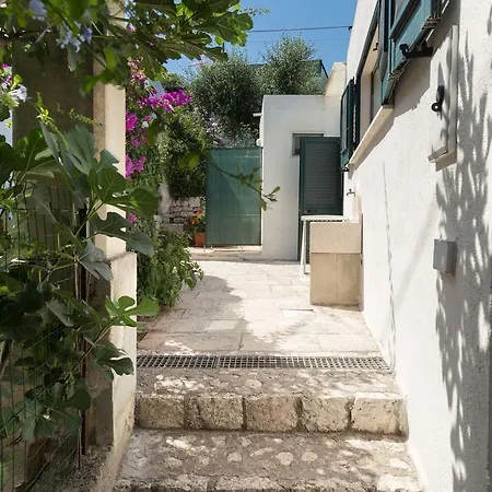 Pajara Di Nelly * 디소