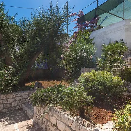 Pajara Di Nelly *