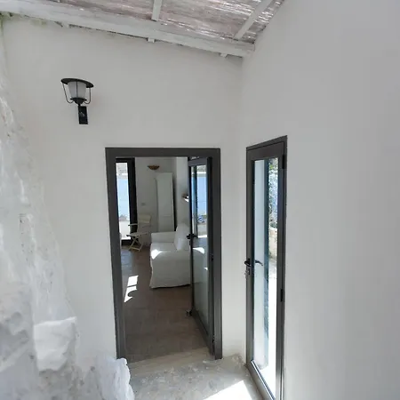 Pajara Di Nelly *