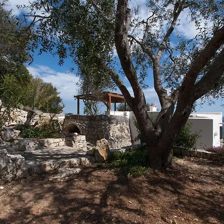 Pajara Di Nelly